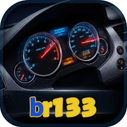 br133